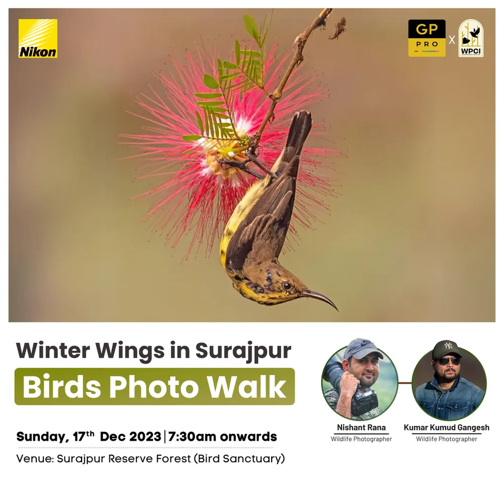 Poster for Winter Wings in Surajpur, showing a sunbird at a red flower