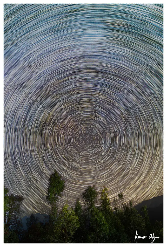 Star trails circling the pole star above a forested ridge